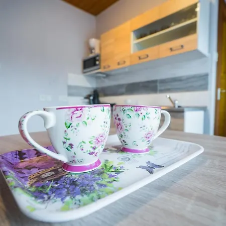 Csini Vendeghaz Guest house